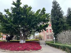 -厦门大学(思明校区)