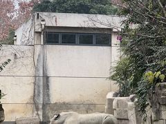 -成都动物园