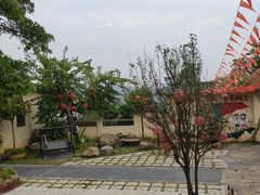 -云顶山庄·粤菜·农家菜(共和店)