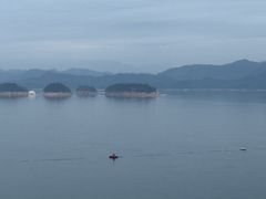-浔味·山屿湖·正宗全鱼宴老字号