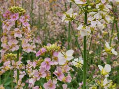 -中国天府农业博览园