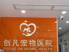 -创凡宠物医院·骨专科  猫科中心(西乡分院)