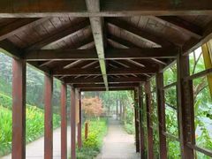 -重庆彩云湖湿地公园