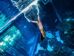 -成都浩海立方海洋公园