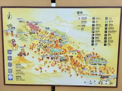 -金塔沙漠胡杨林景区