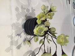 老妈菜馆(建设街店)-老妈菜馆(建设街店)