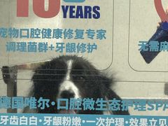 -汪小喵宠物·戴维斯乐芳希施宠馨宝皮毛调理洗护店