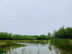 -东郊湿地公园