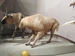 -长江文明馆