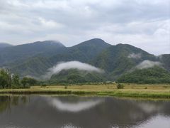 -大九湖