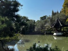 -上海醉白池公园