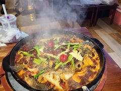 老板恋上鱼-老板恋上鱼(高新万达店)