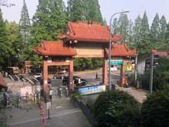 -缙云山景区