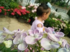 -白鹭湾湿地公园