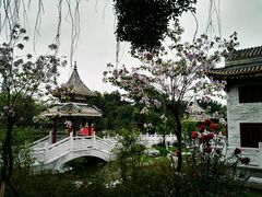 -顺峰山公园