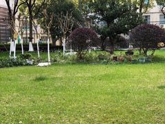 -上海昆虫博物馆