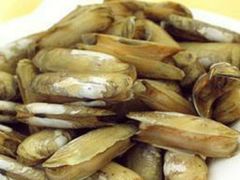 白灼蛏子-必点海鲜·鲅鱼水饺(鞍山西道店)