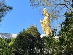 -普陀山雷迪森庄园