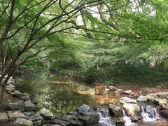 -采芝斋(延安路店)