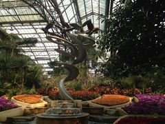 -南山植物园