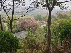 -神光山国家森林公园