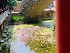 -龙潭水乡