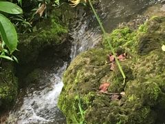 -小七孔景区-六十八级跌水瀑布