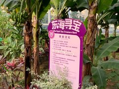 -南宫五洲植物乐园