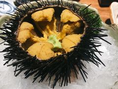 活海胆-江户前寿司(好运街店)