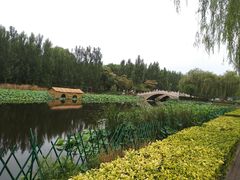-白洋淀景区