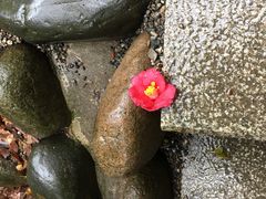 -热田神宫