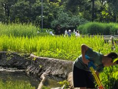 -成都市活水公园