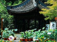 -上海醉白池公园