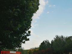 -大望京公园