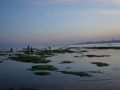 -傅家庄公园