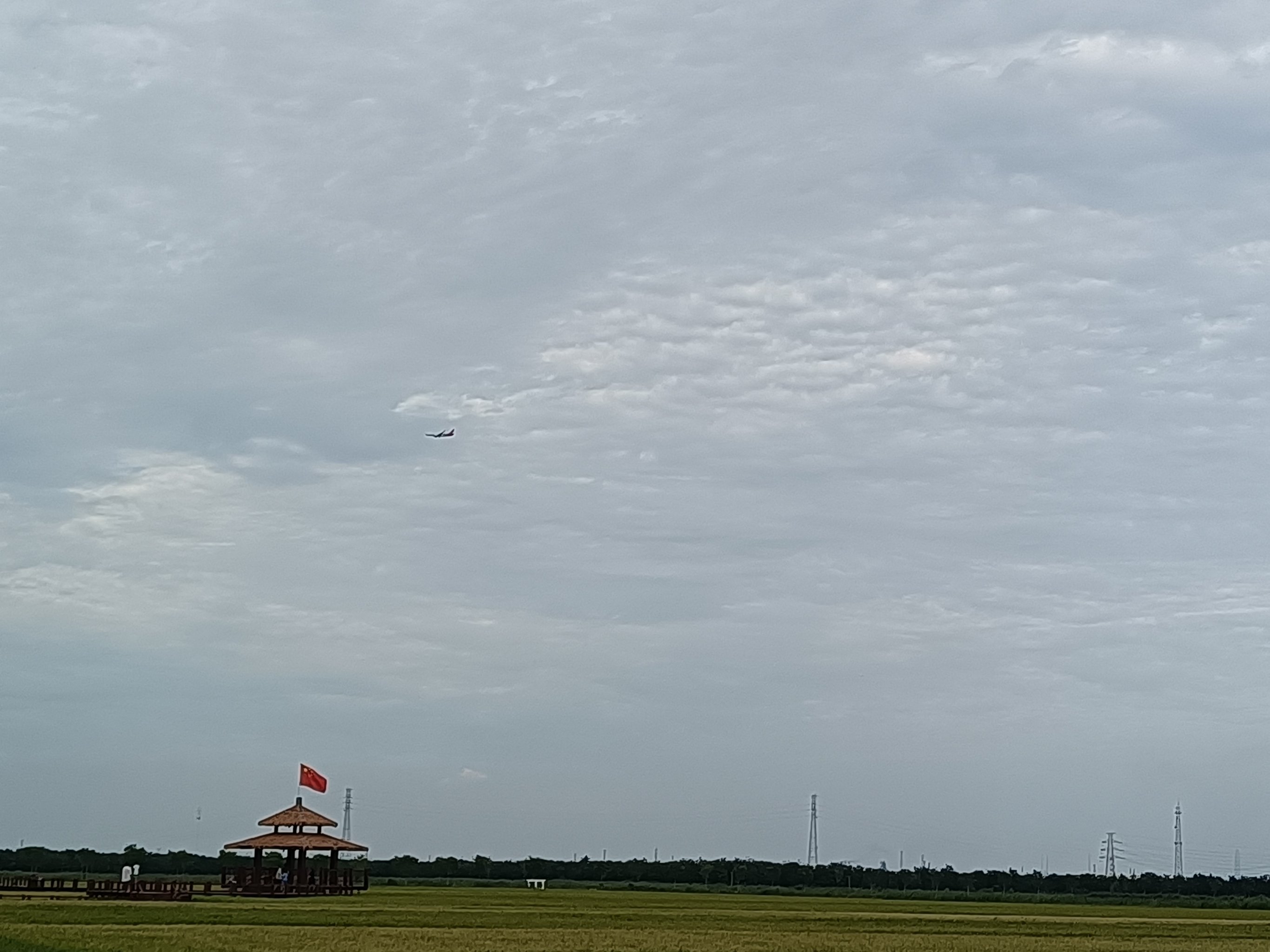 稻田飞机场最新动态图片