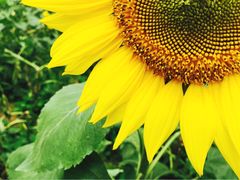 iphone_upload_pic-松山湖梦幻百花洲