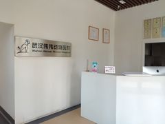 -伟伟宠物医院·瑞派猫友好医院·猫科(光谷店)