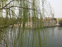 -西安汉城湖景区