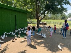 -南通洲际绿博园