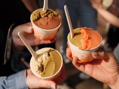 -Dip in Gelato(富民路店)