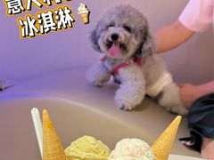 -CREAM STORY意大利手工冰淇淋&甜品(万象前海店)