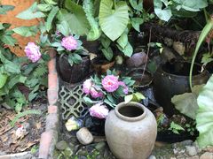 -园林美食城·本土农家菜(杨和镇店)