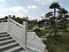 -王借岗森林公园