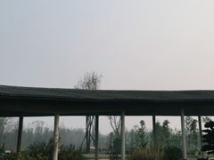 -桤木河湿地公园