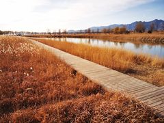 -野鸭湖国家湿地公园
