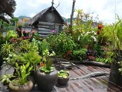 -自然餐厅(Phuket)