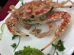 -QQ海鲜餐厅