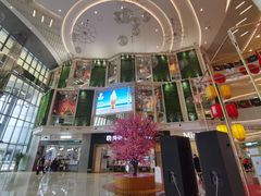 店内环境-绿宝广场