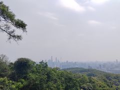 -广州市白云山风景名胜区